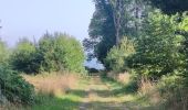 Trail Walking Aywaille - À la découverte de Harzé - Photo 12