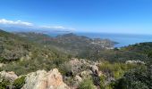 Excursión Senderismo Théoule-sur-Mer - Autour de Theoule - Photo 11