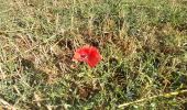 Trail Walking Lisores - Lisores - Photo 1