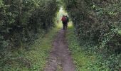 Trail Walking Landéda - Aber Wrach - Aber Benoît - Aber Wrach  - Photo 4