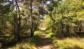 Tocht Stappen Mirabel-et-Blacons - Chapelle Saint-Christophe - Charsac - Photo 12