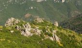 Percorso A piedi Dorgali - Sa Portiscra-Cala Luna - Photo 10