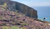 Trail Walking Crozon - Cap de la Chevre  - Photo 9