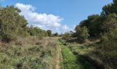 Trail Walking Luynes - Luynes la Rue Barbier - la Loire et l'Aqueduc - 12.3km 100m 3h20 (35mn) - 2025 09 15 - Photo 2