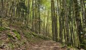 Excursión Senderismo Foncine-le-Bas - Autour de la cascade du Bief de la Ruine 🥾 - Photo 16