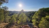 Excursión Senderismo Laure-Minervois - Oui mon Capitelle ! 4 niveaux possibles - Photo 19