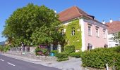 Tour Zu Fuß Gemeinde Weißenkirchen in der Wachau - Wösendorf-Seiber über Gruberwarte (blau) - Photo 5