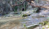 Trail Walking Claret - de valfaunes vers le moulin de la foux - Photo 7