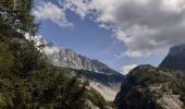 Tour Wandern Chamonix-Mont-Blanc - Les Tines,le chapeau retour par les gorges de l'Aveyron  - Photo 7