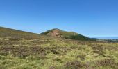 Tocht Stappen Ceyssat - Puy-de-Dôme, Petit Suchet et Grand Suchet - Photo 10