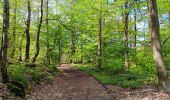 Tour Wandern Esneux - autour du parc du Mary - variante  - Photo 13