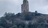 Tour Wandern Volonne - VOLONNE . SUR LA ROUTE DU TEMPS O  L - Photo 12