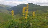 Trail Walking Lavigerie - Col de Serre - Pas de Peyrol - Puy Mary - Brèche de Rolland - Photo 6