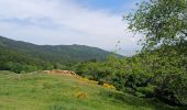 Trail Walking Goldbach-Altenbach - goldbach - Photo 10