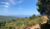 Tocht Stappen Pietrosella - Boucle du col de  Gradella vers sant’Amanza - Photo 2