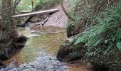 Excursión Senderismo Châtel-Guyon - cascade de l'écureuil ,vallée du sans soucis, château de Chazeron  - Photo 1