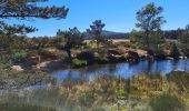 Randonnée Marche Pont de Montvert - Sud Mont Lozère - T-Le Merlet - Photo 3