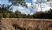 Tocht Stappen Phalempin - Chateau de l'Ermitage - Photo 2