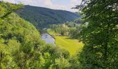 Tocht Stappen Vresse-sur-Semois - Rochehaut, up and down - Photo 10