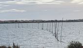 Percorso Marcia Vic-la-Gardiole - Le Bois des Aresquiers - Photo 1