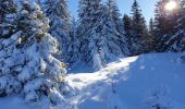 Excursión Raquetas de nieve Les Rousses - Noirmont et mont Sala Suisse - Photo 9