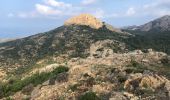 Tocht Stappen Palasca - Randonnée « le Désert des Agriates » Corse - Photo 5