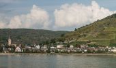 Randonnée A pied Oberheimbach - Oberheimbach Panoramaweg - Photo 2