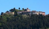 Tour Zu Fuß Pomarance - Capezzalla - Bivio Villa - Photo 6