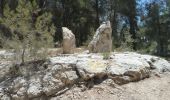 Trail On foot Mate Yehuda Regional Council - Hanasi forest - green - Photo 7