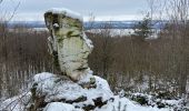 Trail Walking Durbuy - Pierre Shaina - Photo 3