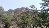 Tocht Stappen Le Muy - roquebrune - Photo 2