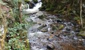 Tour Wandern Remiremont - Remiremont - baraque des gardes - étang du Villerain - cascade du Géhart - étangs et prieuré d'Hérival  - Photo 16