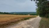 Tour Wandern Saint-Jean-de-Côle - St-Jean de Côle - St-Martin - Photo 8