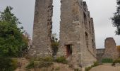 Tour Wandern Tourves - Le Caramy - Photo 10