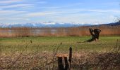 Tour Zu Fuß Uster - Nänikon-Greifensee - Fällanden Rohr - Photo 3
