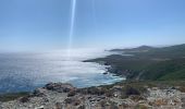 Excursión Senderismo Rogliano - Cap Corse Macinaggio à Barcaggio, via tour d’Agnello - Photo 3