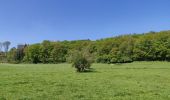 Randonnée V.T.C. Durbuy - Chemin touristique Barvaux-Durbuy - Photo 1