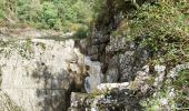 Randonnée Marche Bort-les-Orgues - Chute de la Saule - Photo 13