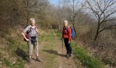 Trail Walking Doische - SAT-1 2019-03-28 Doiche - Hastiere 23 Km - Photo 18
