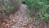 Trail Walking Sainte-Marie - Belle étoile  vers la pointe Lahoussaye par Anse du four - Photo 4