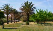 Randonnée Marche Hyères - Ile de Porquerolles - Photo 16