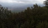 Trail Walking Nans-les-Pins - la vaussiere - Photo 3
