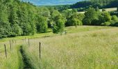 Excursión A pie Göppingen - Eislinger Rundwanderweg Nord E5 - Photo 6