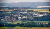 Tocht Te voet Detmold - Rundwanderweg [Hangstein / Schling] - Photo 4