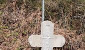 Tour Wandern Ferrières - Rouge Minières ac  - Photo 2