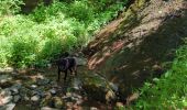 Randonnée Marche Beuil - balcon sur les gorges du cians - Photo 1