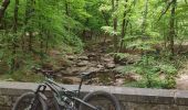 Trail Mountain bike Verviers - VAE Stembert Gileppe Mariehomont - Photo 4