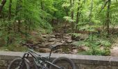 Tocht Mountainbike Verviers - VAE Stembert Gileppe Mariehomont - Photo 4