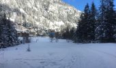 Randonnée Raquettes à neige Orsières - Champex Lac - Arpette - Champex Lac - Photo 11