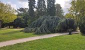 Tocht Stappen Meudon - Le PR8 de Meudon à Suresnes - Photo 9